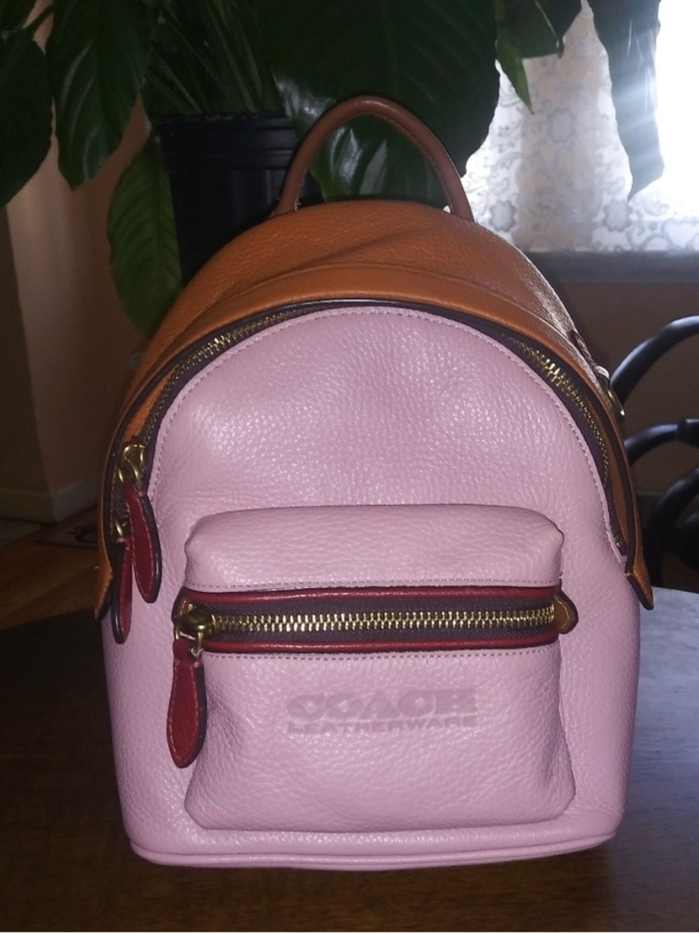Coach Pink and Brown Pebbled Leather Mini Backpack